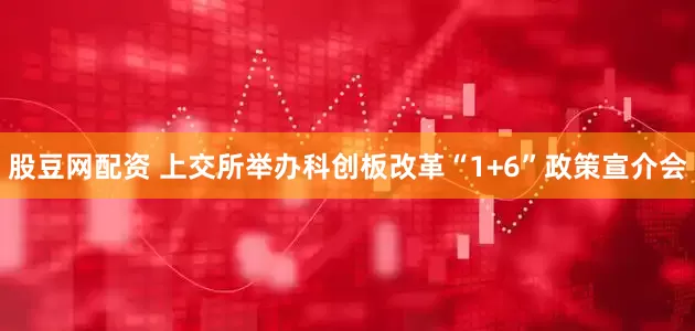 股豆网配资 上交所举办科创板改革“1+6”政策宣介会