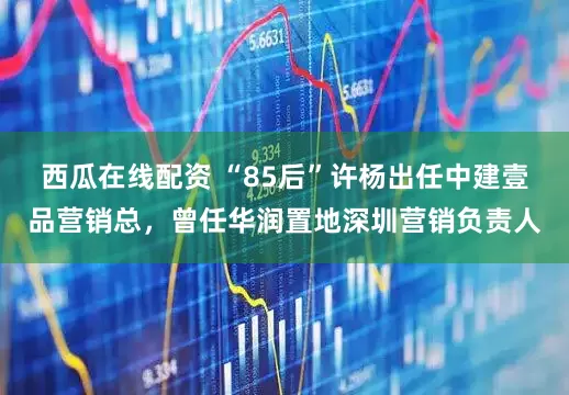 西瓜在线配资 “85后”许杨出任中建壹品营销总，曾任华润置地深圳营销负责人
