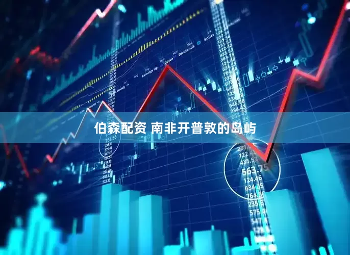伯森配资 南非开普敦的岛屿